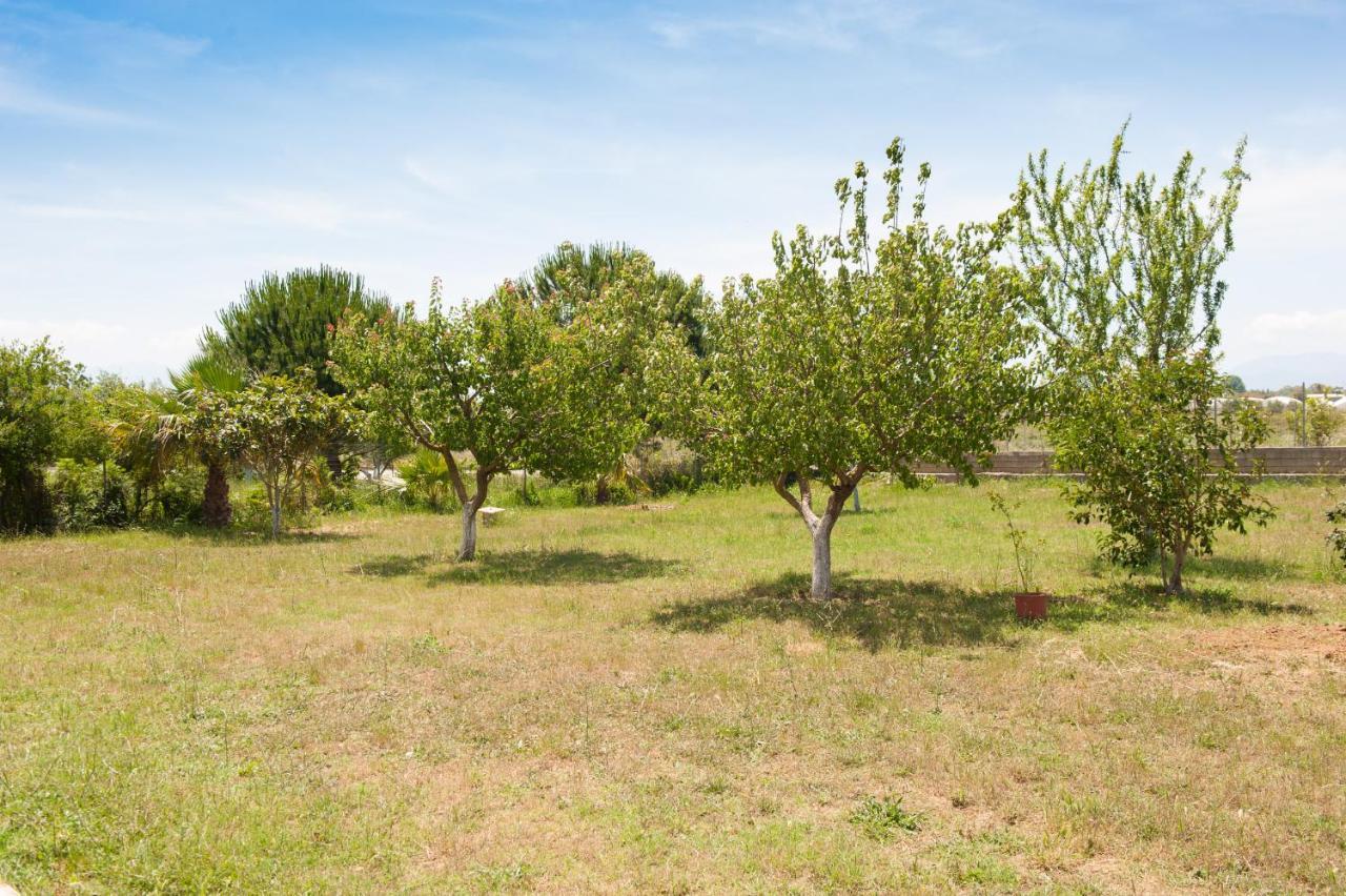 Olives Estate Apartments Grande Πρέβεζα Εξωτερικό φωτογραφία