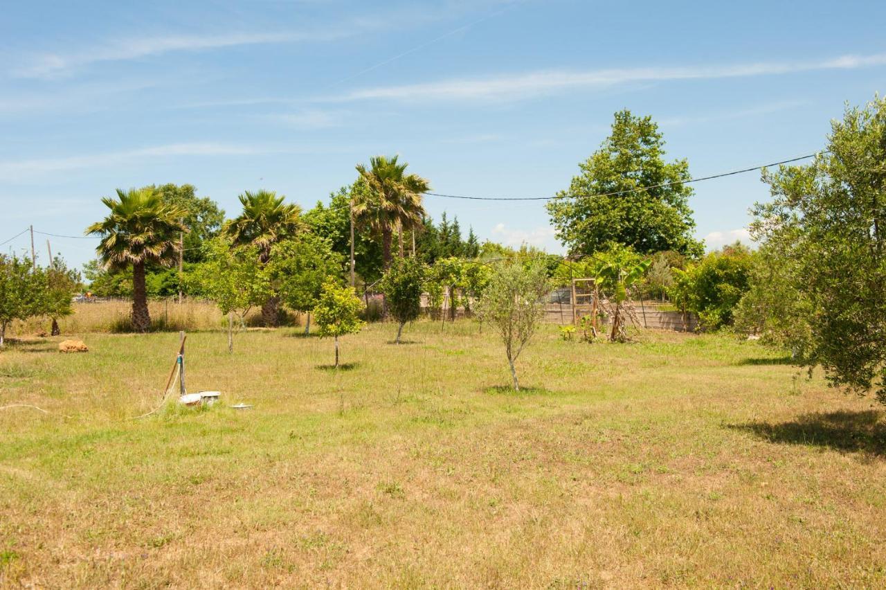 Olives Estate Apartments Grande Πρέβεζα Εξωτερικό φωτογραφία