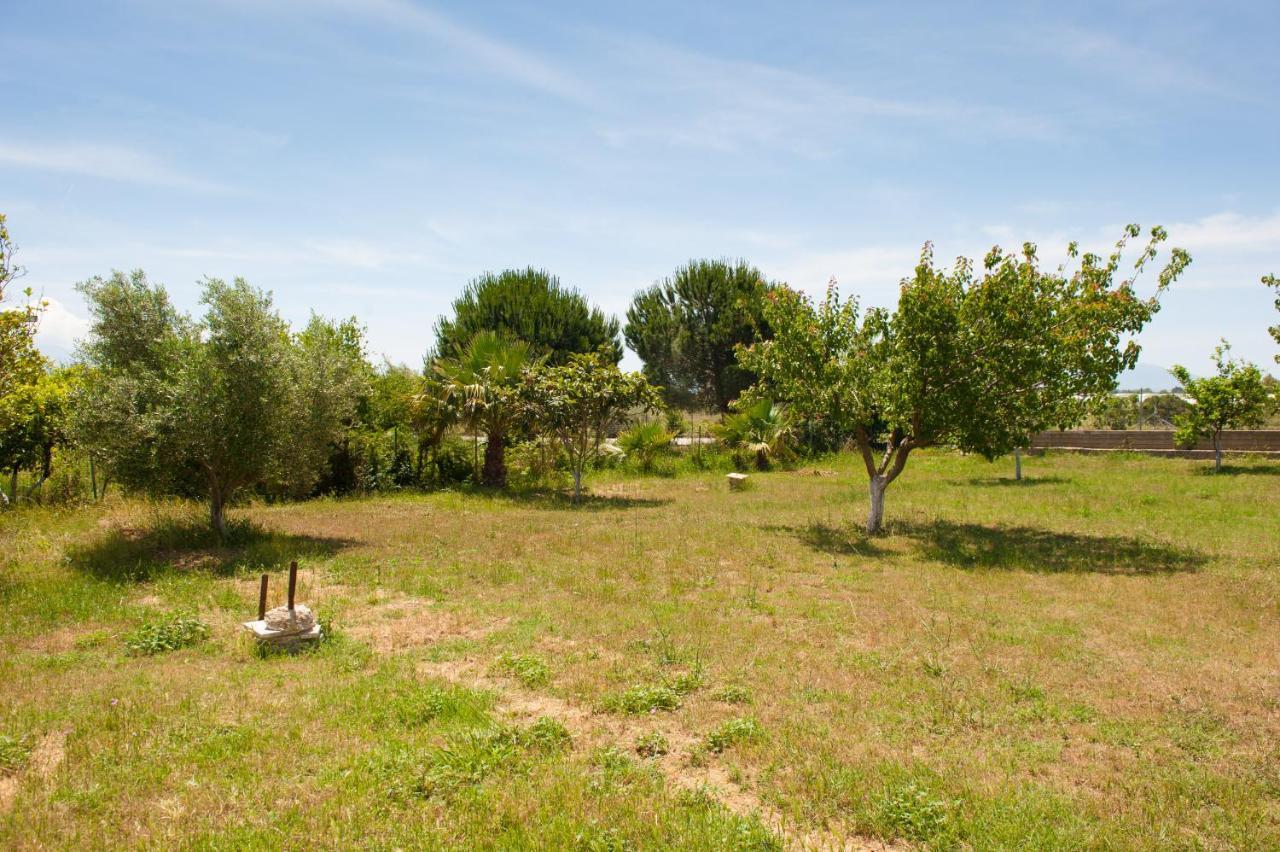 Olives Estate Apartments Grande Πρέβεζα Εξωτερικό φωτογραφία