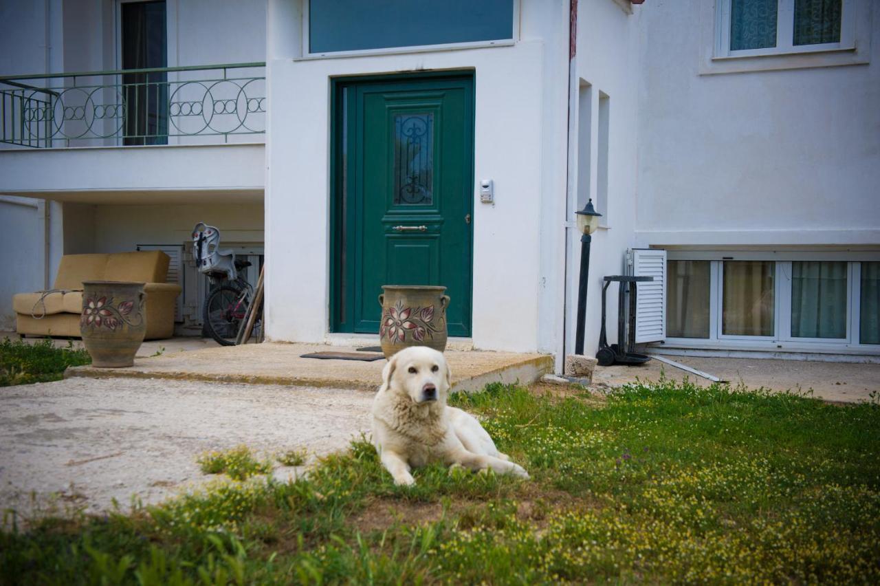 Olives Estate Apartments Grande Πρέβεζα Εξωτερικό φωτογραφία